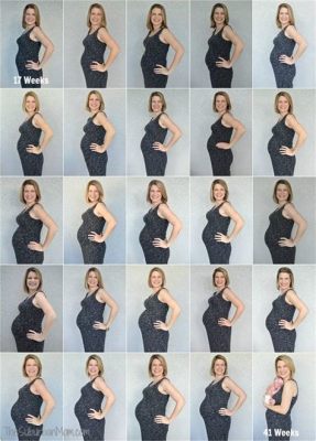 Your Pregnancy: Week by Week - A Visual Symphony of Life and Science